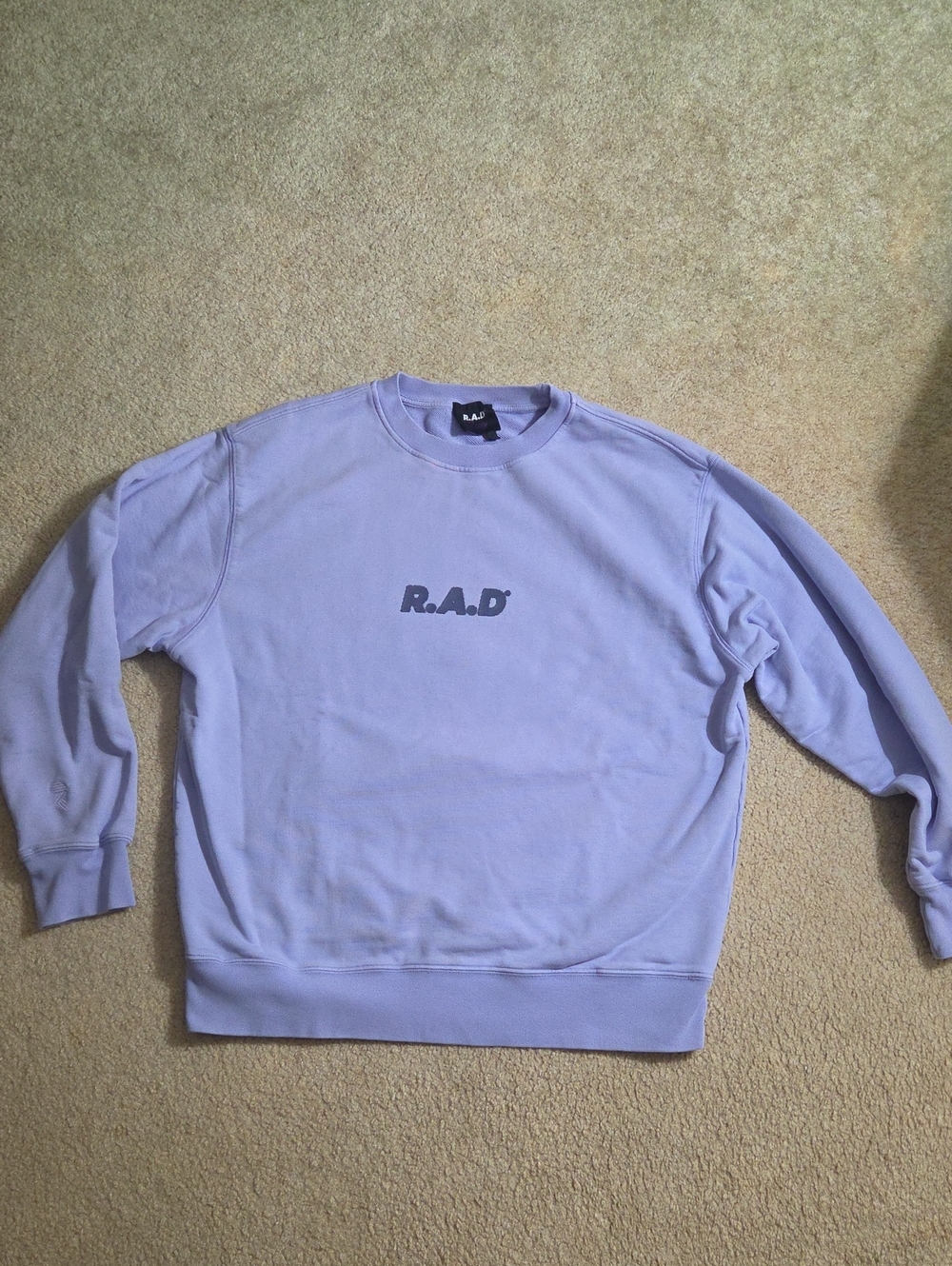 RAD Heavyweight Unisex Sweatshirt